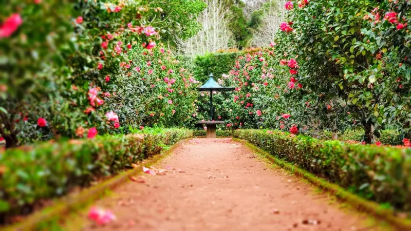 Cultivating Climate‑Smart Gardens in Small Spaces
