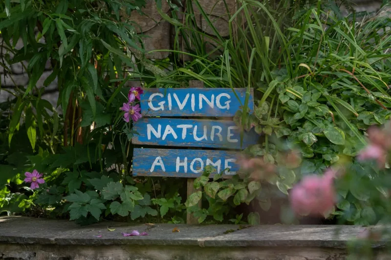Cultivating Wellness: How Sustainable Living Transforms Health