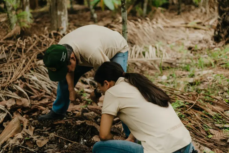 Listening to the Soil: A Conversational Approach to Thriving Gardens