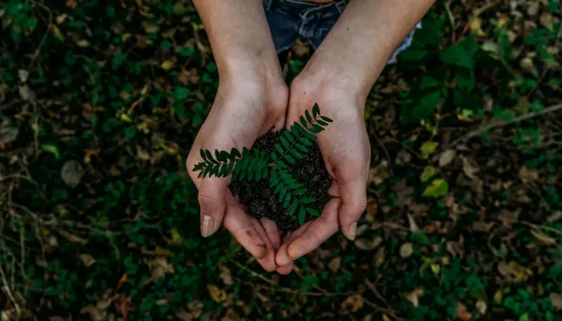 Living Green in Small Spaces: Practical Hacks for a Sustainable Urban Lifestyle