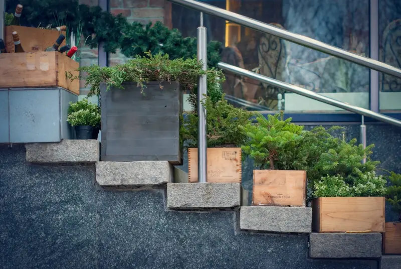 Bring the Outdoors In: Biophilic Design Hacks for Any Home